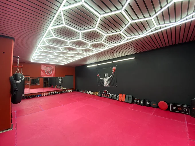 Innenansicht des Legacy Fighting Gyms mit roten Matten und Boxsäcken